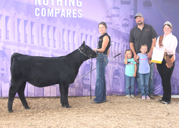 Reserve Junior Heifer Calf Champion