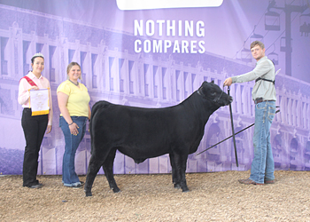 Reserve Junior Bull Calf Champion