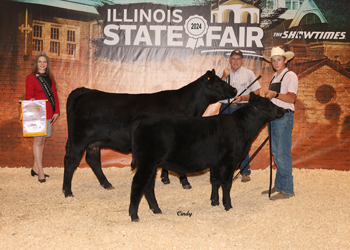 Reserve Grand Champion Cow-calf Pair