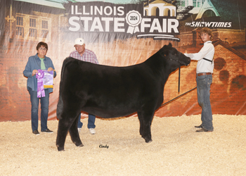 Owned Late Junior Champion Heifer