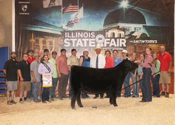 Reserve Grand Champion Owned Female