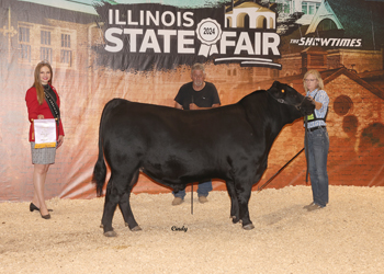 Reserve Junior Champion Bull