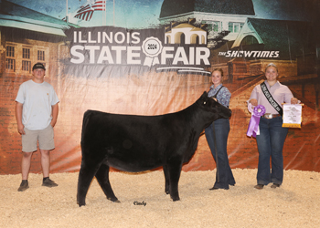 Owned Reserve Senior Heifer Calf Champion