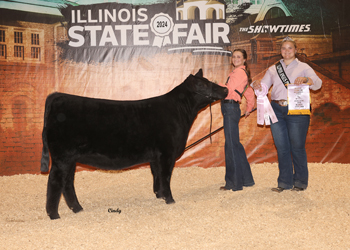 Owned Reserve Intermediate Champion Heifer