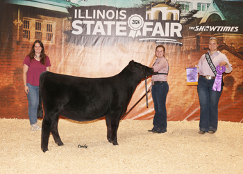 Owned Senior Heifer Calf Champion