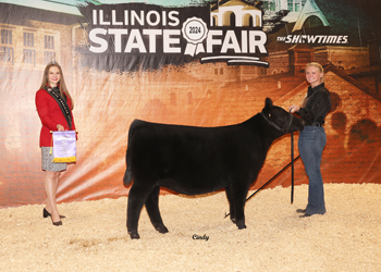 Owned Junior Heifer Calf Champion