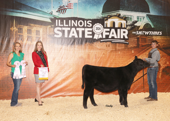 Owned Reserve Junior Heifer Calf Champion