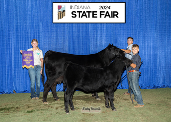 Grand Champion Cow-calf Pair