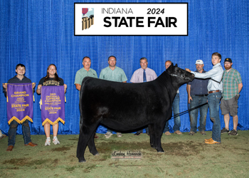 Grand Champion Female