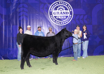 Reserve Grand Champion Owned Female