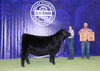 Reserve Grand Champion Bred-and-owned Female