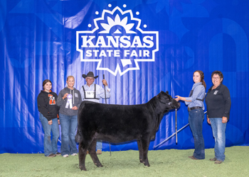 Reserve Senior Heifer Calf Champion