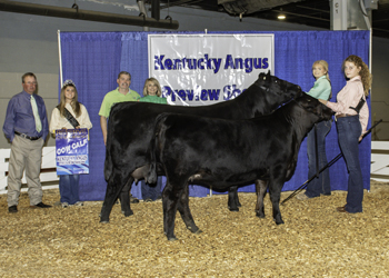 Reserve Grand Champion Cow-calf Pair