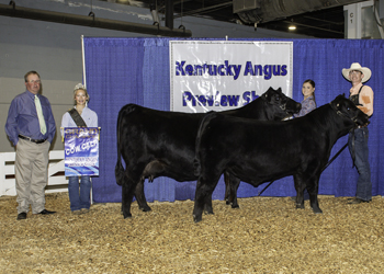 Grand Champion Cow-calf Pair