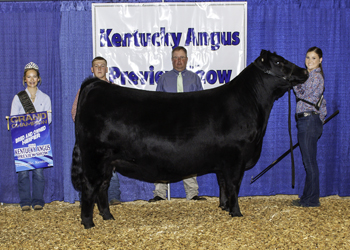 Grand Champion Bred-and-owned Female