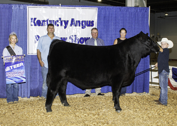 Grand Champion Steer