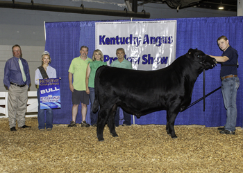 Reserve Grand Champion Bred-and-owned Bull