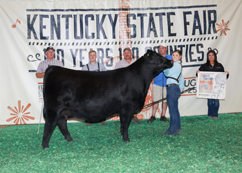 Grand Champion Owned Female