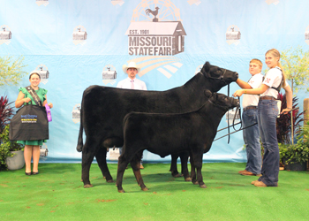 Grand Champion Cow-calf Pair