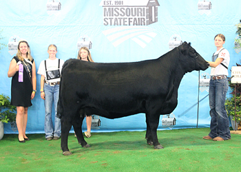 Owned Senior Champion Female