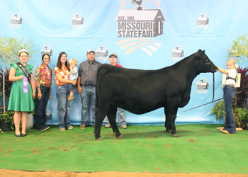 Owned Intermediate Champion Heifer