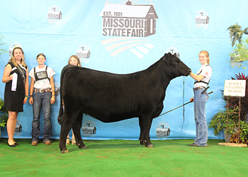 Owned Reserve Junior Champion Heifer