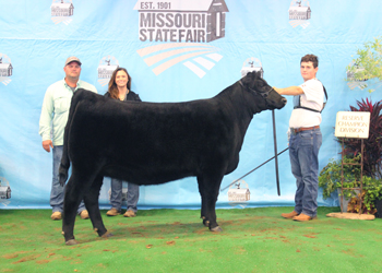 Owned Reserve Intermediate Champion Heifer