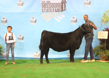 Owned Reserve Junior Heifer Calf Champion