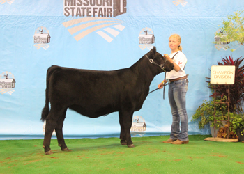 Owned Junior Heifer Calf Champion