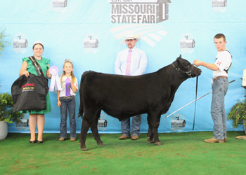 Reserve Grand Champion Bull