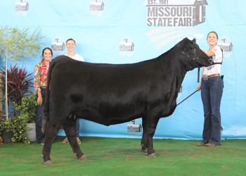 Owned Reserve Senior Champion Female