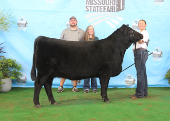 Owned Reserve Intermediate Champion Heifer