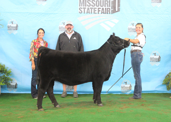 Owned Senior Heifer Calf Champion