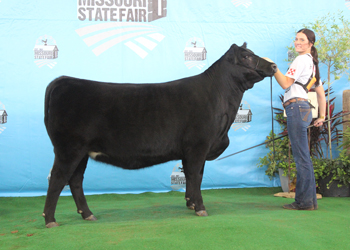 Owned Junior Champion Heifer