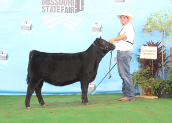 Owned Junior Heifer Calf Champion