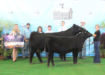 Grand Champion Cow-calf Pair