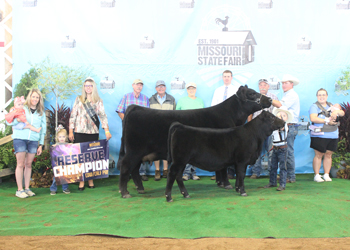 Reserve Grand Champion Cow-calf Pair