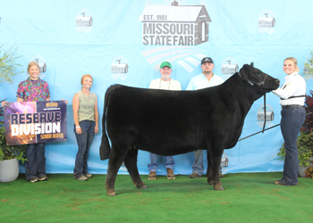 Reserve Senior Champion Female