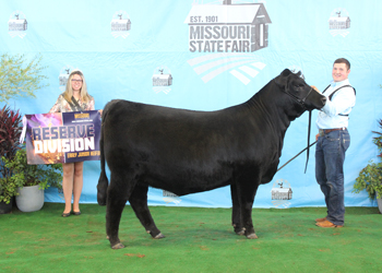 Reserve Early Junior Champion Heifer