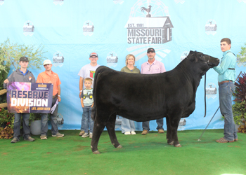 Reserve Late Junior Champion Heifer