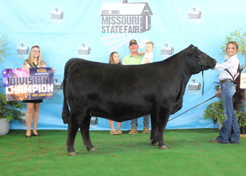 Early Junior Champion Heifer