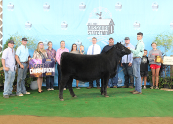 Grand Champion Female