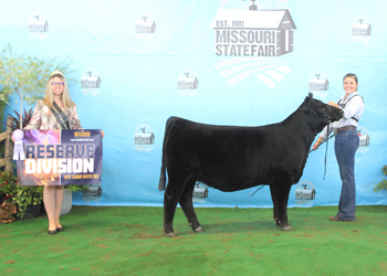 Reserve Late Senior Heifer Calf Champion