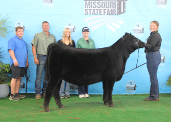 Early Senior Heifer Calf Champion