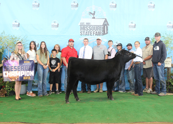 Reserve Grand Champion Female