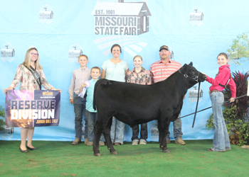 Reserve Junior Bull Calf Champion