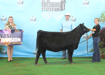 Reserve Junior Heifer Calf Champion