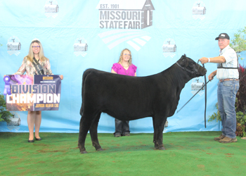 Junior Heifer Calf Champion