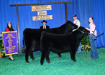 Grand Champion Cow-calf Pair