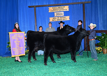 Reserve Grand Champion Cow-calf Pair